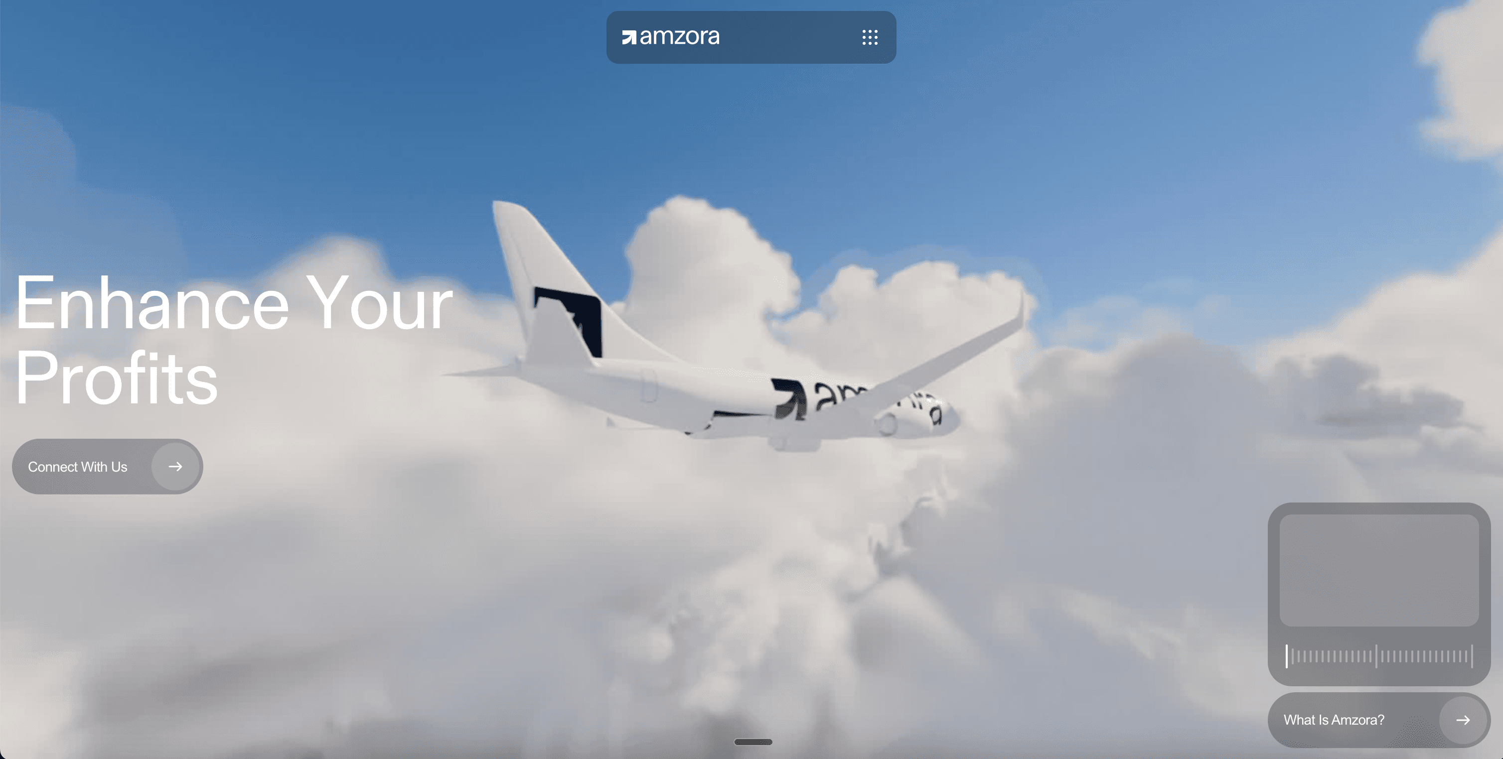 AMZORA project overview